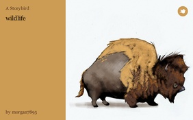 wildlife