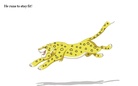 A different Leopard