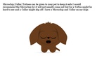 All about Puppies