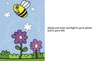 plants