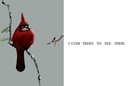 ALL KINDS OF BIRDS
