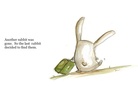 THE LOST RABBITS