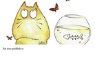What your cat does when your gone?