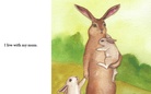 the bunny