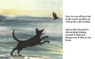 The Bunnies adventure of a life time.