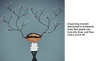 THE SECRET

  LIFE OF TREES