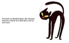 Cool Cat

The Black Cat