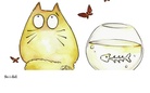 .De Story.