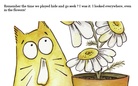 It's A Crazy Cat World