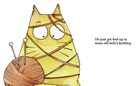 Meet Cat