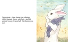 The  bunny  book!