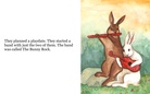 The  bunny  book!