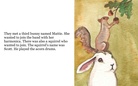 The  bunny  book!