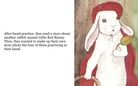 The  bunny  book!