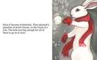 The  bunny  book!