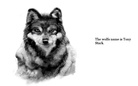 The  Deadly Wolf and  other animals that are friends with him and other deadly animals.