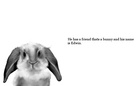 The  Deadly Wolf and  other animals that are friends with him and other deadly animals.