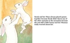 The Snow Rabbit