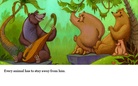 The best forest ever.