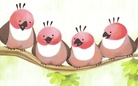 lovley moring