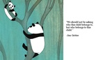 The Marshmallow Tree