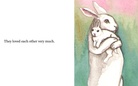 A Bunny Tale