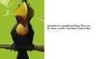 Animals