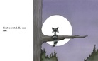 Bo the racoon 1#