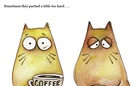 A Tale of Two Kitties
