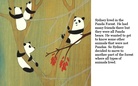 The Lonely Panda