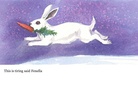 The Rabbit`s Birthday