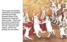Rabbit Dreams
