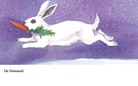 Rabbit Dreams