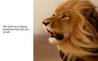 A poem about lions