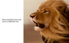 A poem about lions