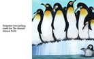 Animal Party