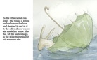 The Umbrella