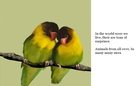 The Living things of Planet earth.