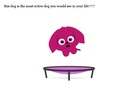 the very active dog