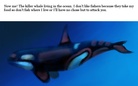 The Dark Side of Things