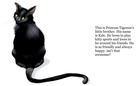 Princess Tiger Tiger's Story