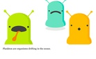 Zooplankton  Soup