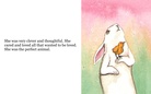 Angela Fiddlefoot and the New Bunny