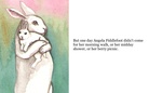 Angela Fiddlefoot and the New Bunny