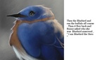 Bluebird the  Hero