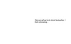 A Nonfiction Book on Koalas