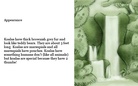 A Nonfiction Book on Koalas