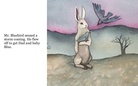 Flutter Bunny Boo's Big Adventure