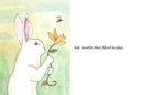 Bunnies at bedtime