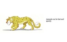Animals